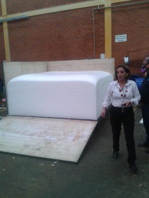 Sponge / PU Foam Production Line / Machine For Medium Scales Plant 220L / Mould