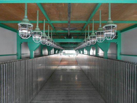 Flexible Mattress Foam Production Line With PLC Control , 50Kg / m³